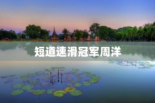 短道速滑冠军周洋:速度与技巧的完美结合 短道速滑冠军周洋:速度与技巧的完美结合