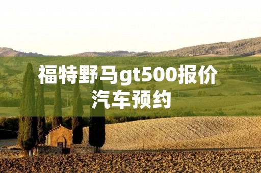 福特野马gt500报价 汽车预约