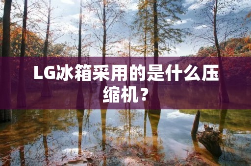 LG冰箱采用的是什么压缩机？
