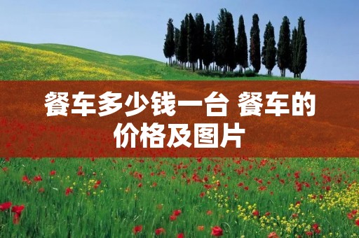 餐车多少钱一台 餐车的价格及图片