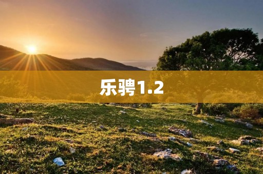 乐骋1.2:为城市出行带来更多便利与乐趣 乐骋1.2:为城市出行带来更多便利与乐趣