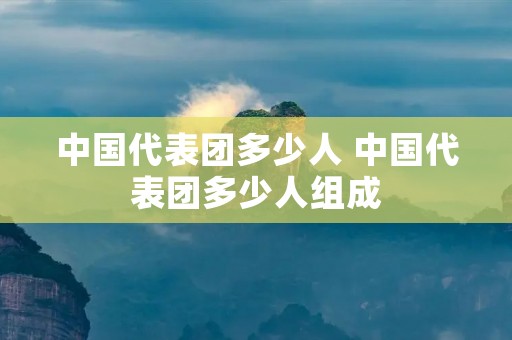 中国代表团多少人 中国代表团多少人组成