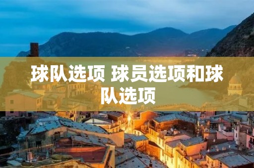 球队选项 球员选项和球队选项