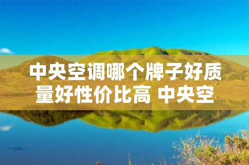 中央空调哪个牌子好质量好性价比高 中央空调哪个牌子好一些