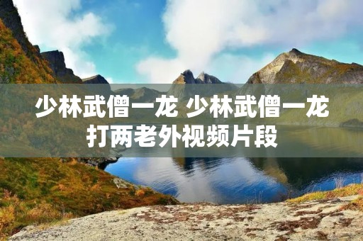 少林武僧一龙 少林武僧一龙打两老外视频片段