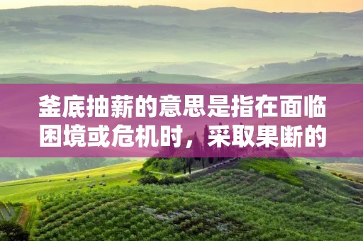 釜底抽薪的意思是指在面临困境或危机时,采取果断的行动,从根本上解决问题。这个成语的出处可以追溯到中国古代的一则寓言故事,讲述了一个智者利用火烧釜底的方法,成功解决了村庄的老鼠问题。这个成语后来逐渐演化为一个比喻,用来形容在面临困难或危机时,采取果断的措施,以期从根本上解决问题。