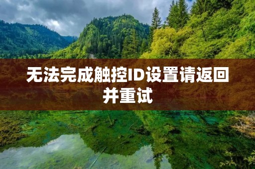 无法完成触控ID设置请返回并重试