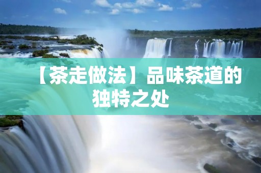 【茶走做法】品味茶道的独特之处 【茶走做法】品味茶道的独特之处