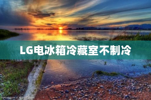 LG电冰箱冷藏室不制冷：原因及解决方法