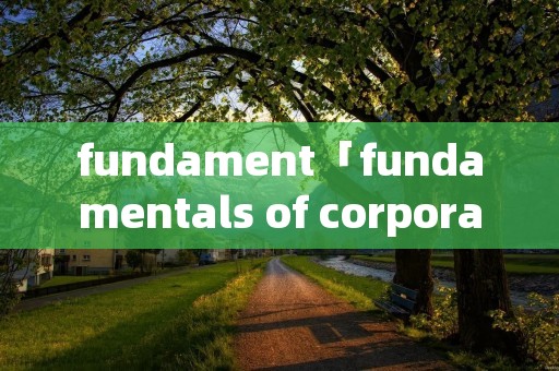 fundament「fundamentals of corporate finance」