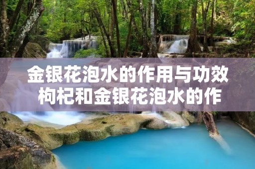 金银花泡水的作用与功效 枸杞和金银花泡水的作用与功效