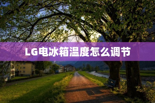 LG电冰箱温度怎么调节 LG电冰箱温度怎么调节