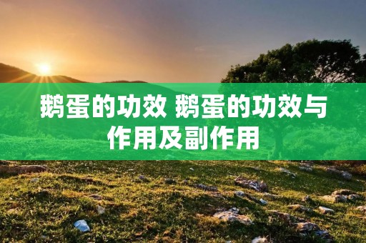鹅蛋的功效 鹅蛋的功效与作用及副作用 鹅蛋的功效 鹅蛋的功效与作用及副作用
