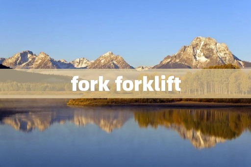 fork forklift fork forklift