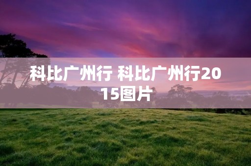 科比广州行 科比广州行2015图片