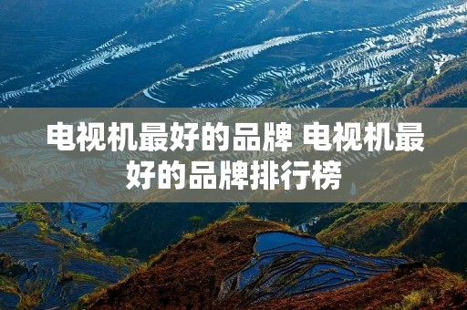 电视机最好的品牌 电视机最好的品牌排行榜