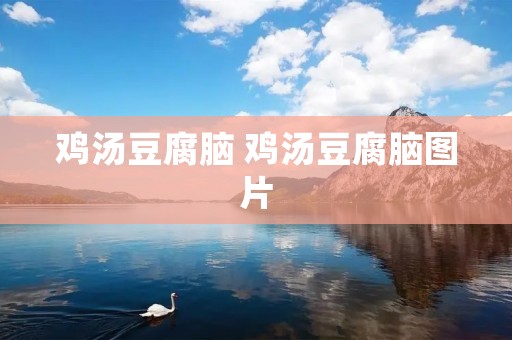 鸡汤豆腐脑 鸡汤豆腐脑图片