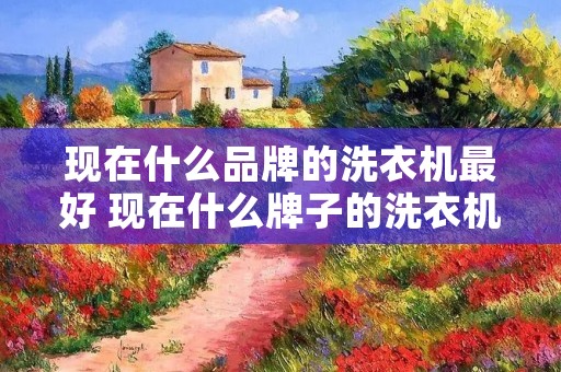 现在什么品牌的洗衣机最好 现在什么牌子的洗衣机比较好