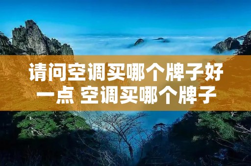 请问空调买哪个牌子好一点 空调买哪个牌子的好
