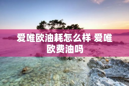 爱唯欧油耗怎么样 爱唯欧费油吗 爱唯欧油耗怎么样 爱唯欧费油吗