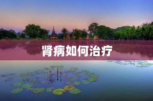 肾病如何治疗:全面解析肾病的治疗方法