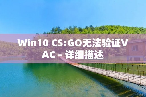 Win10 CS:GO无法验证VAC - 详细描述