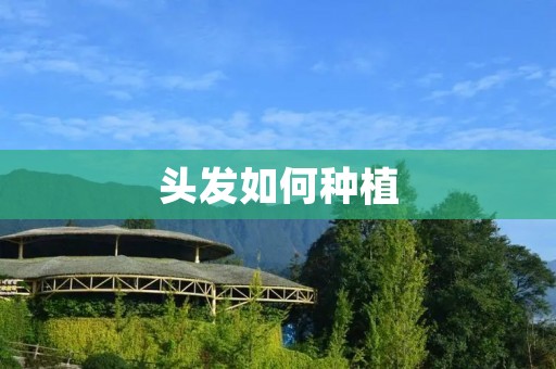 头发如何种植
