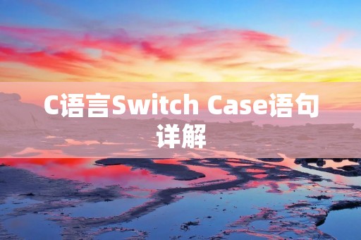 C语言Switch Case语句详解