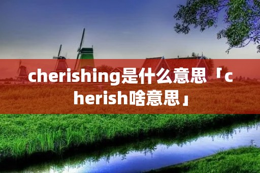 cherishing是什么意思「cherish啥意思」