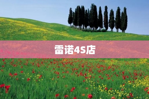 雷诺4S店：为您提供全方位的汽车销售与服务