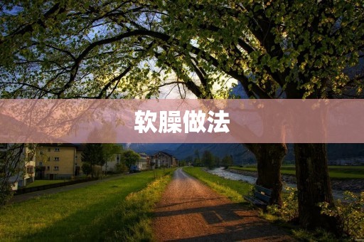 软臊做法:让你的菜肴口感更加丰富细腻 软臊做法:让你的菜肴口感更加丰富细腻