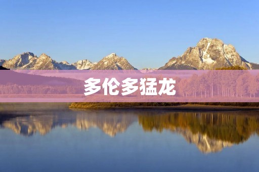 多伦多猛龙：加拿大的篮球传奇