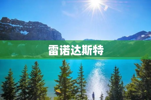 雷诺达斯特：领先科技与卓越性能的完美结合