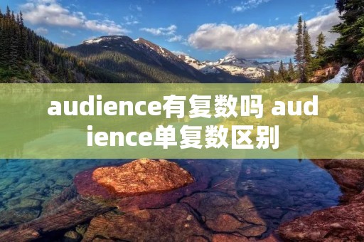 audience有复数吗 audience单复数区别