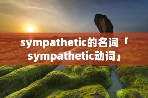 sympathetic的名词「sympathetic动词」
