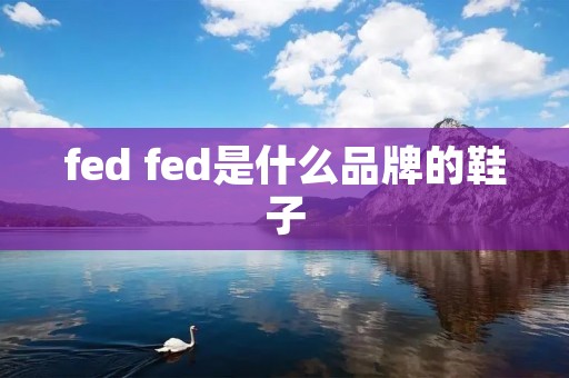 fed fed是什么品牌的鞋子