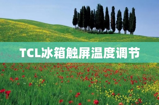 TCL冰箱触屏温度调节:享受智能调控的便利 TCL冰箱触屏温度调节:享受智能调控的便利