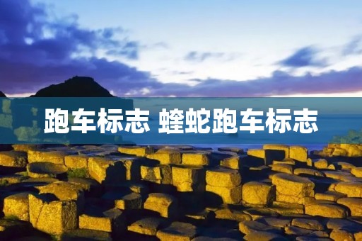 跑车标志 蝰蛇跑车标志