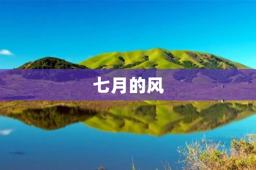 七月的风:夏日里的清凉与欢乐