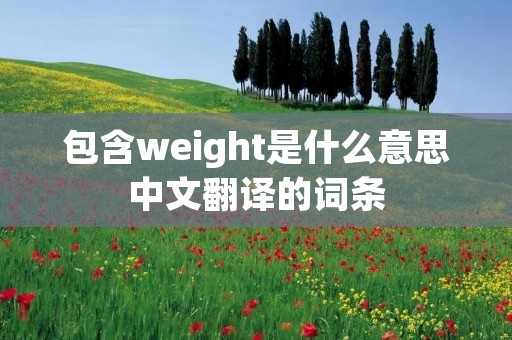 包含weight是什么意思中文翻译的词条