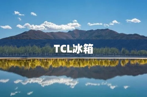 TCL冰箱：性能与品质的完美结合