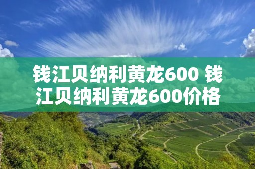 钱江贝纳利黄龙600 钱江贝纳利黄龙600价格