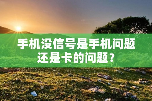 手机没信号是手机问题还是卡的问题?