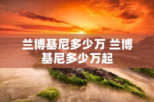 兰博基尼多少万 兰博基尼多少万起