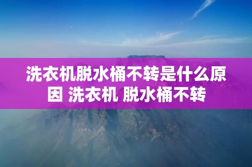 洗衣机脱水桶不转是什么原因 洗衣机 脱水桶不转