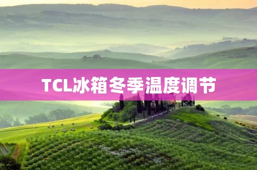 TCL冰箱冬季温度调节:保持食物新鲜的秘诀 TCL冰箱冬季温度调节:保持食物新鲜的秘诀