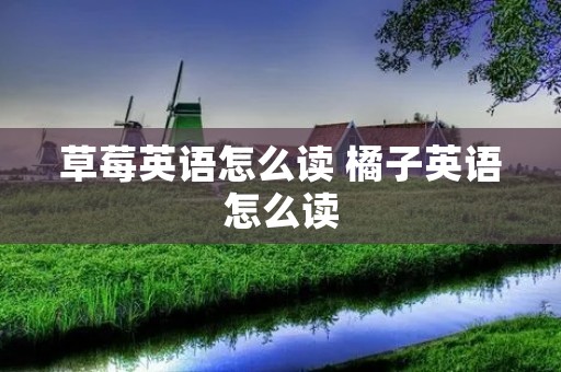 草莓英语怎么读 橘子英语怎么读