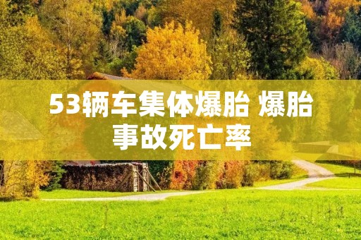 53辆车集体爆胎 爆胎事故死亡率