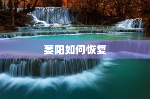 萎阳如何恢复:重拾活力的秘诀