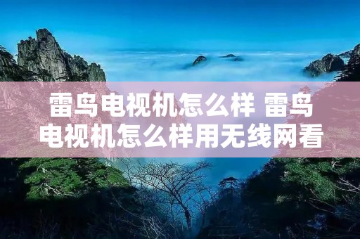 雷鸟电视机怎么样 雷鸟电视机怎么样用无线网看直播 雷鸟电视机怎么样 雷鸟电视机怎么样用无线网看直播